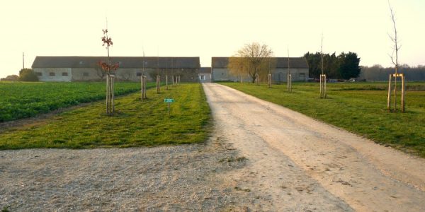 Ferme des Epines la boissiere